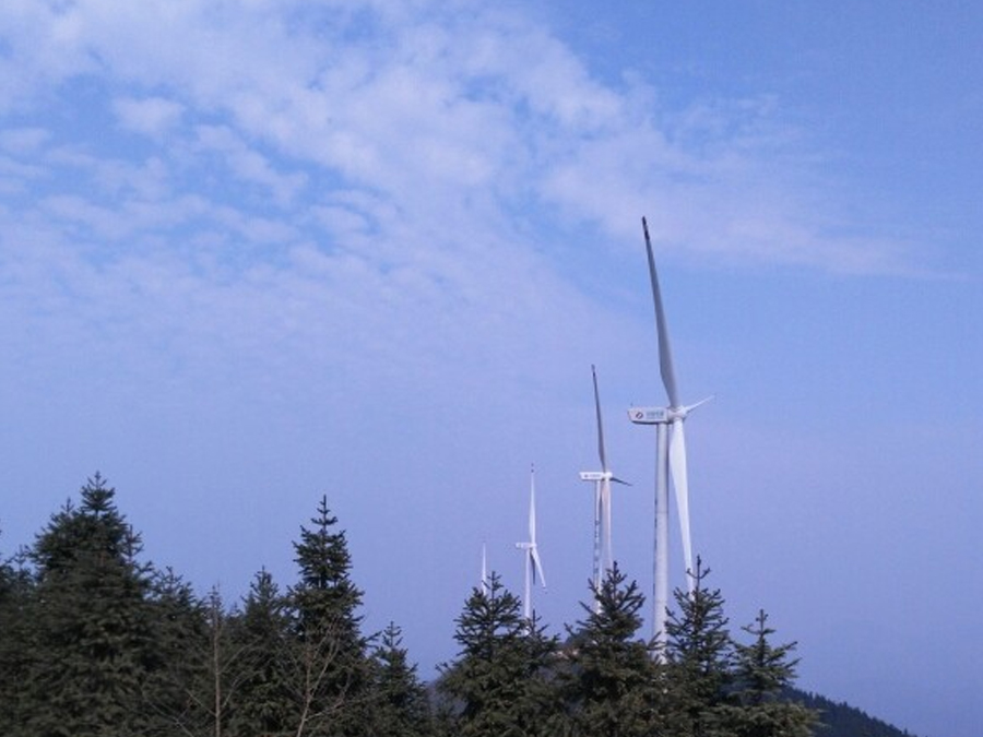 鳳凰山風(fēng)電場項目生態(tài)修復(fù)工程3.jpg