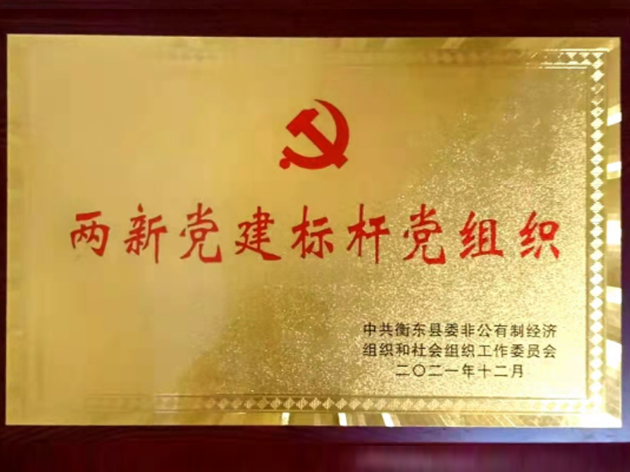 黨建活動--衡東縣兩新黨建標(biāo)桿創(chuàng)建 黨建活動--衡東縣兩新黨建標(biāo)桿創(chuàng)建